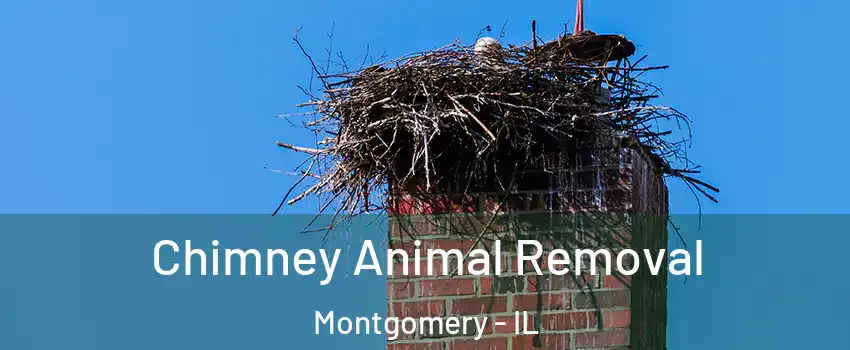 Chimney Animal Removal Montgomery - IL
