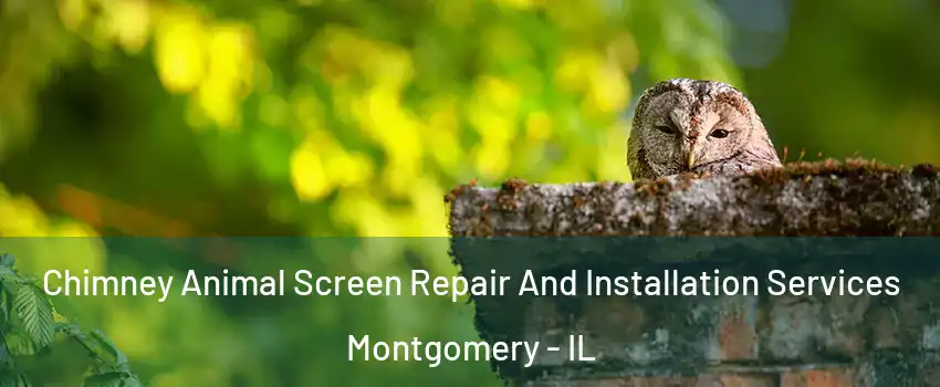  Chimney Animal Screen Repair And Installation Services Montgomery - IL