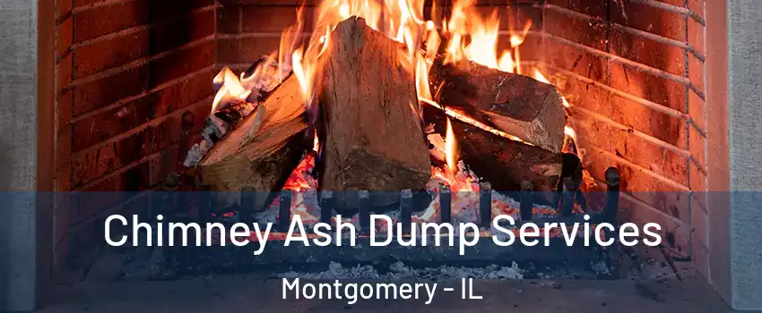  Chimney Ash Dump Services Montgomery - IL