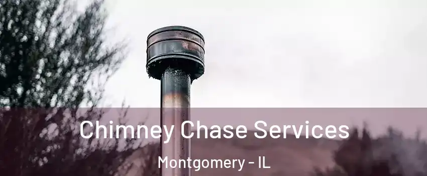  Chimney Chase Services Montgomery - IL