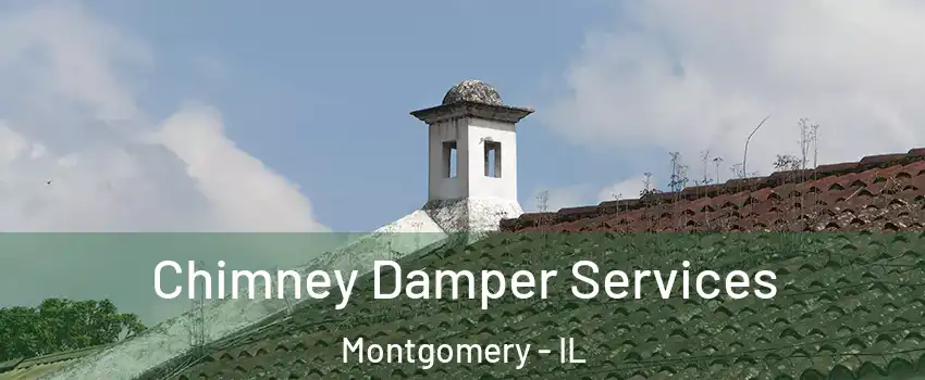  Chimney Damper Services Montgomery - IL