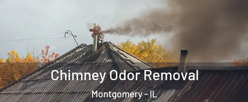  Chimney Odor Removal Montgomery - IL