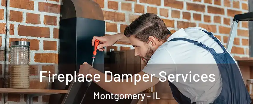  Fireplace Damper Services Montgomery - IL