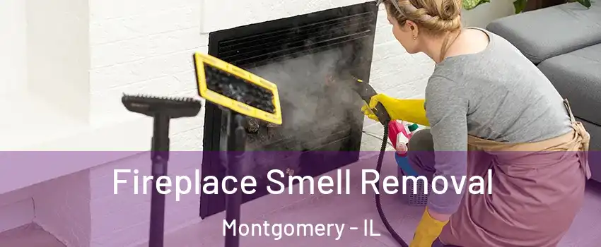  Fireplace Smell Removal Montgomery - IL