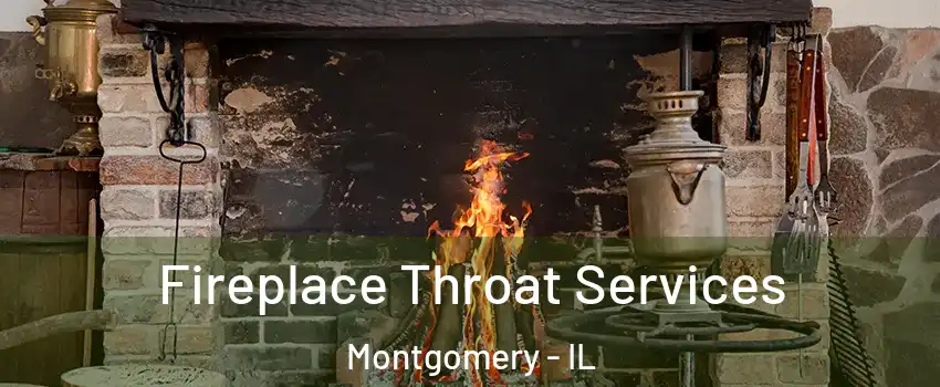 Fireplace Throat Services Montgomery - IL
