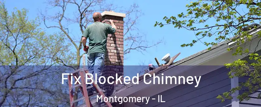  Fix Blocked Chimney Montgomery - IL