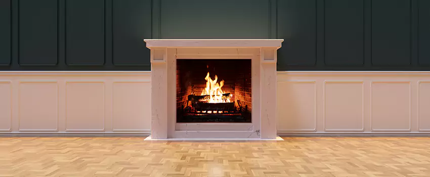 Napoleon Electric Fireplaces Inspection Service in Montgomery, Illinois