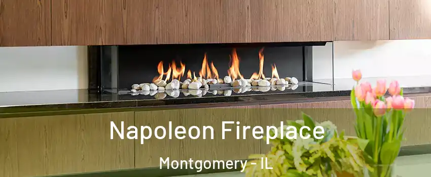  Napoleon Fireplace Montgomery - IL