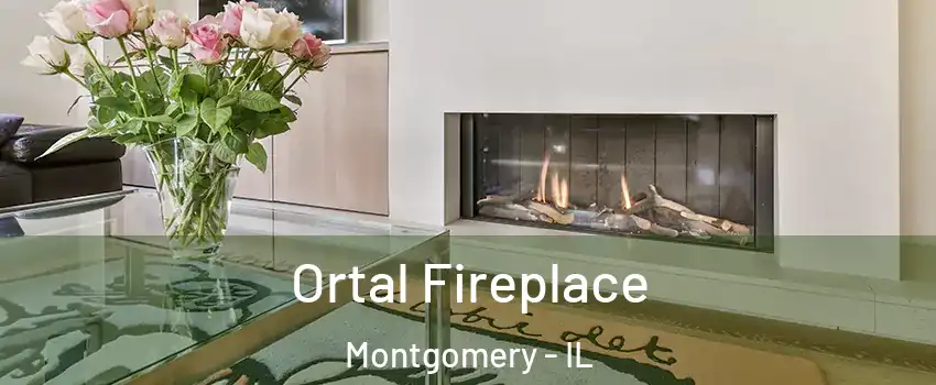 Ortal Fireplace Montgomery - IL