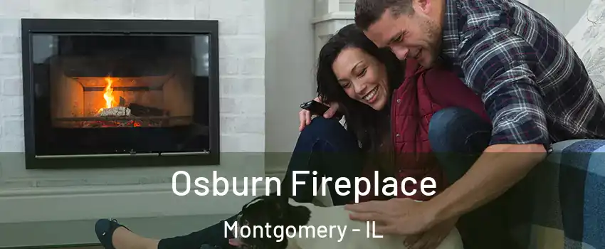  Osburn Fireplace Montgomery - IL
